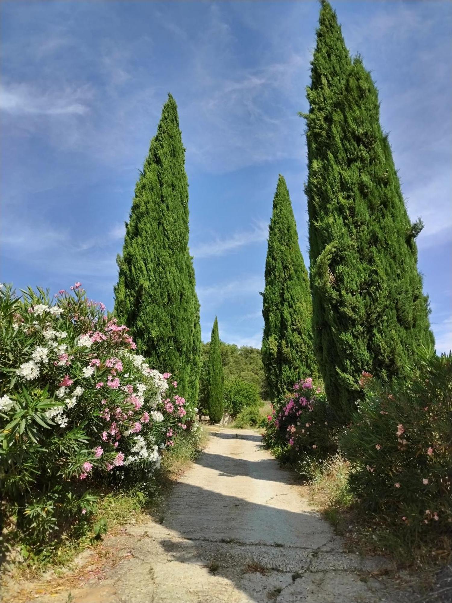 Maison Chemin D'Uzes Blauzac (Gard) Exterior foto