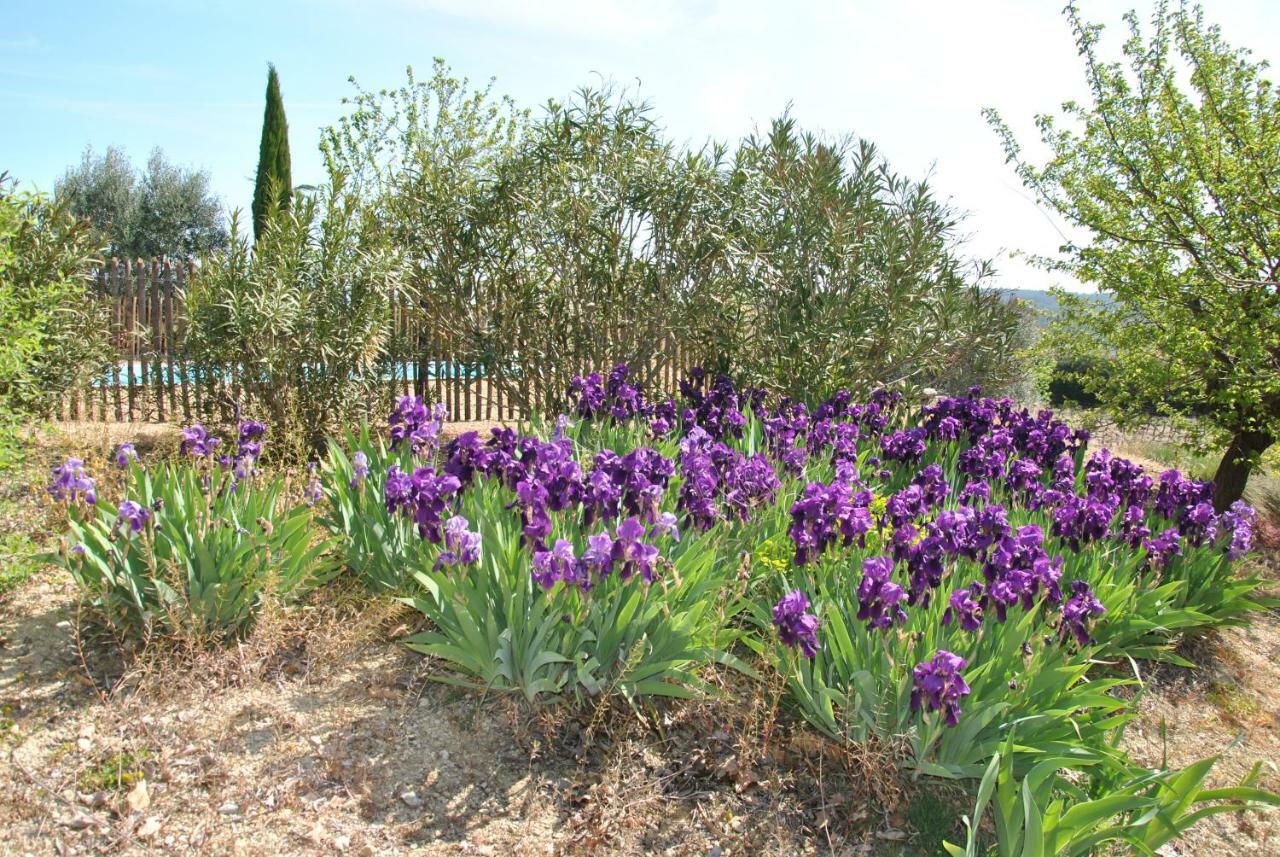 Maison Chemin D'Uzes Blauzac (Gard) Exterior foto